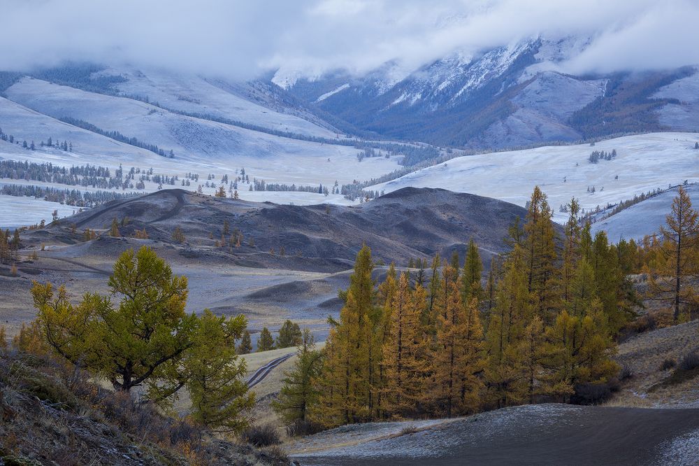 Фотография автора Сергей Шульга