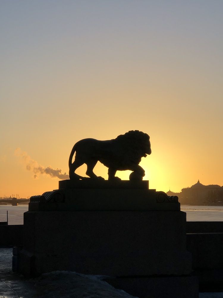 Photograph by Мария Бессмертная