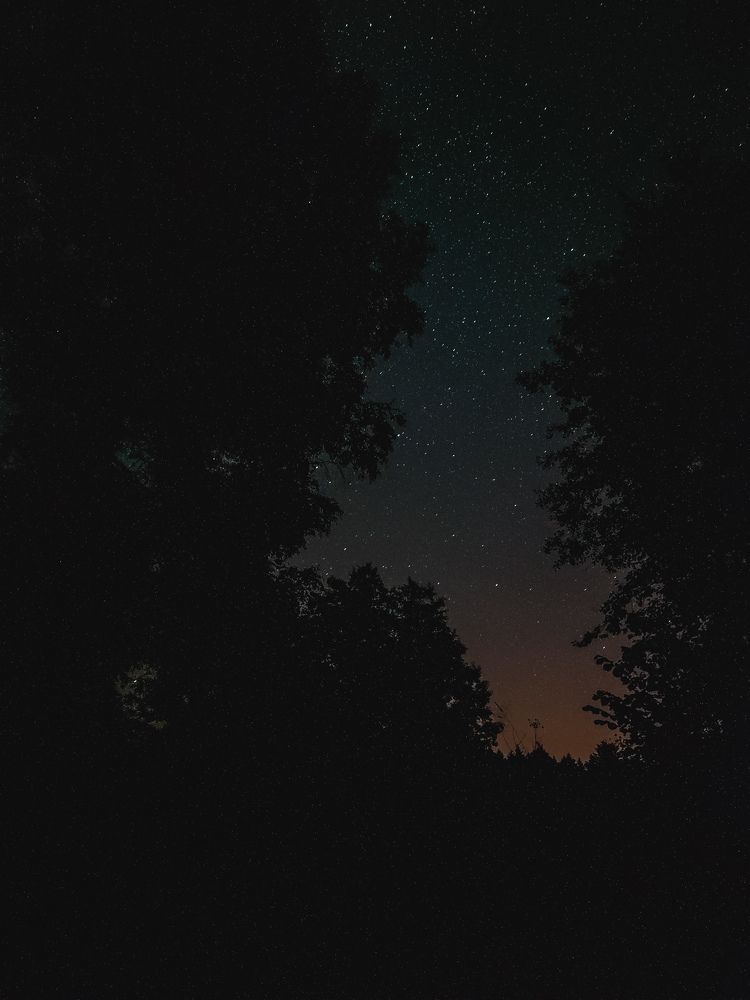 Photograph by Катерина Магало