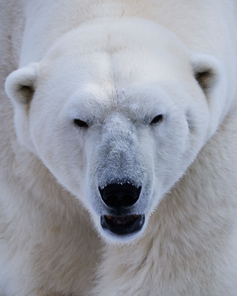 Photograph by Yuli Lerou