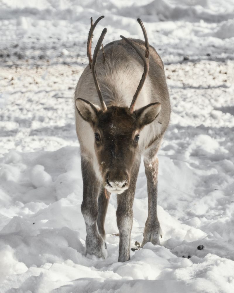 Photograph by Yuli Lerou