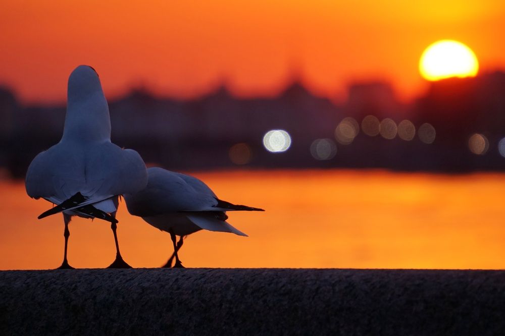 Photograph by Алексей