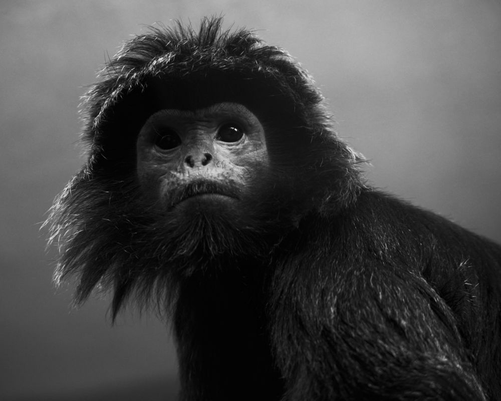 Photograph by Yuli Lerou