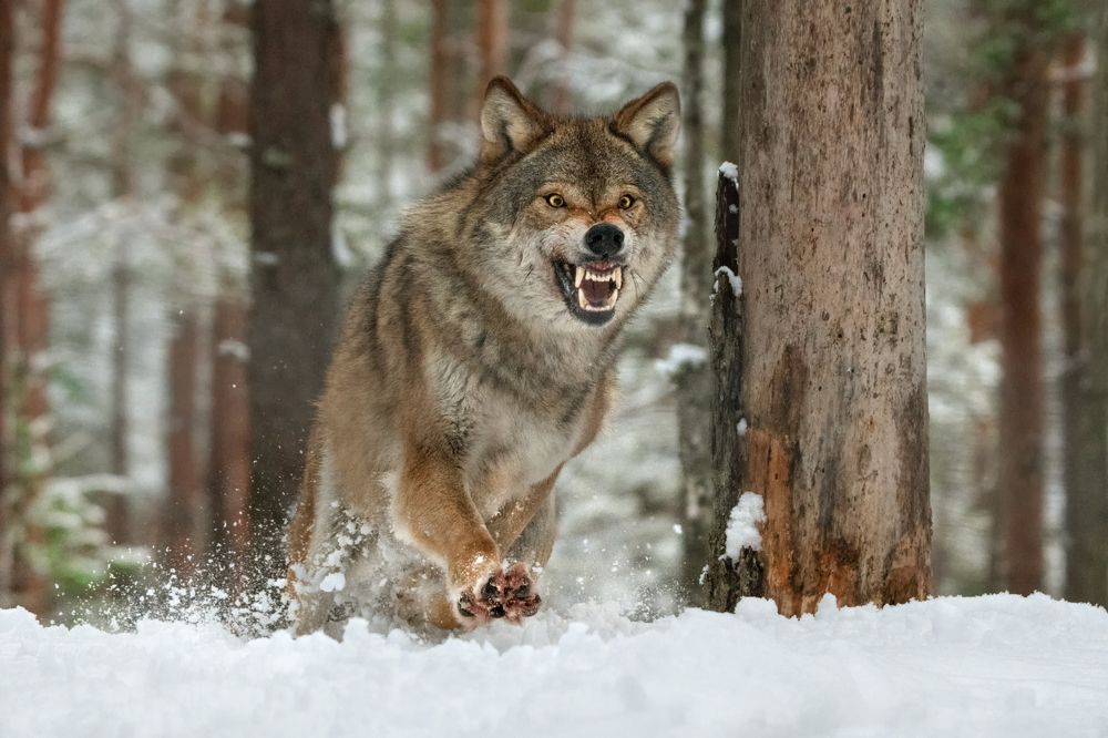 Photograph by Рудченко Ольга