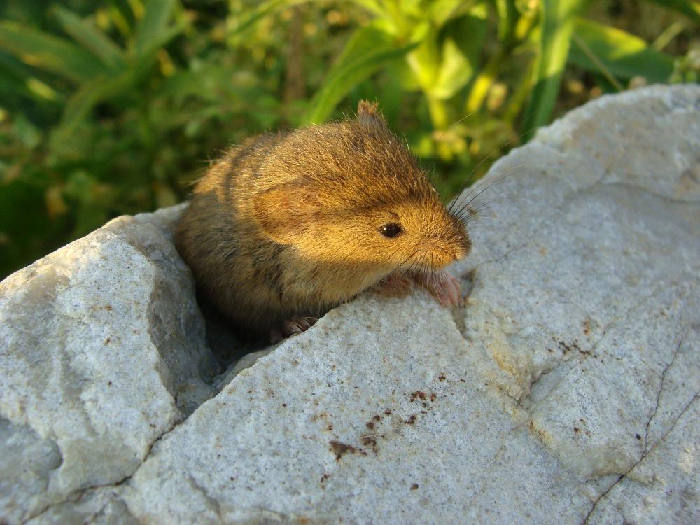 Фотография автора Павел Попов