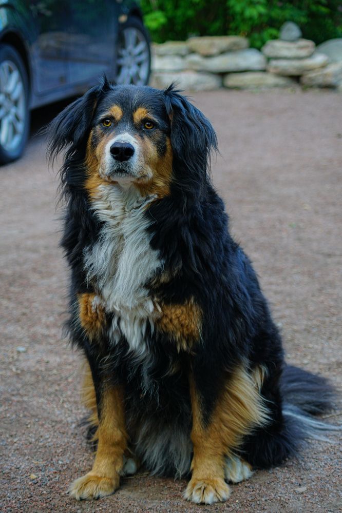 Photograph by Гюзель Даугуль