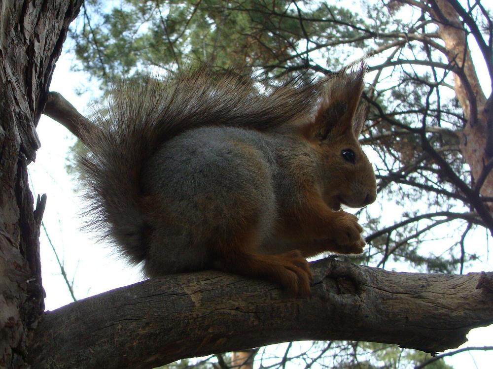 Фотография автора Павел Попов
