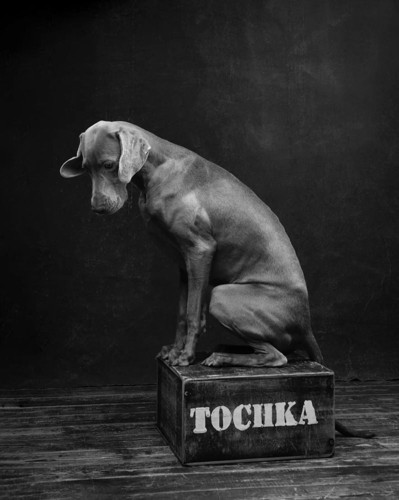 Photograph by Алина Колосова