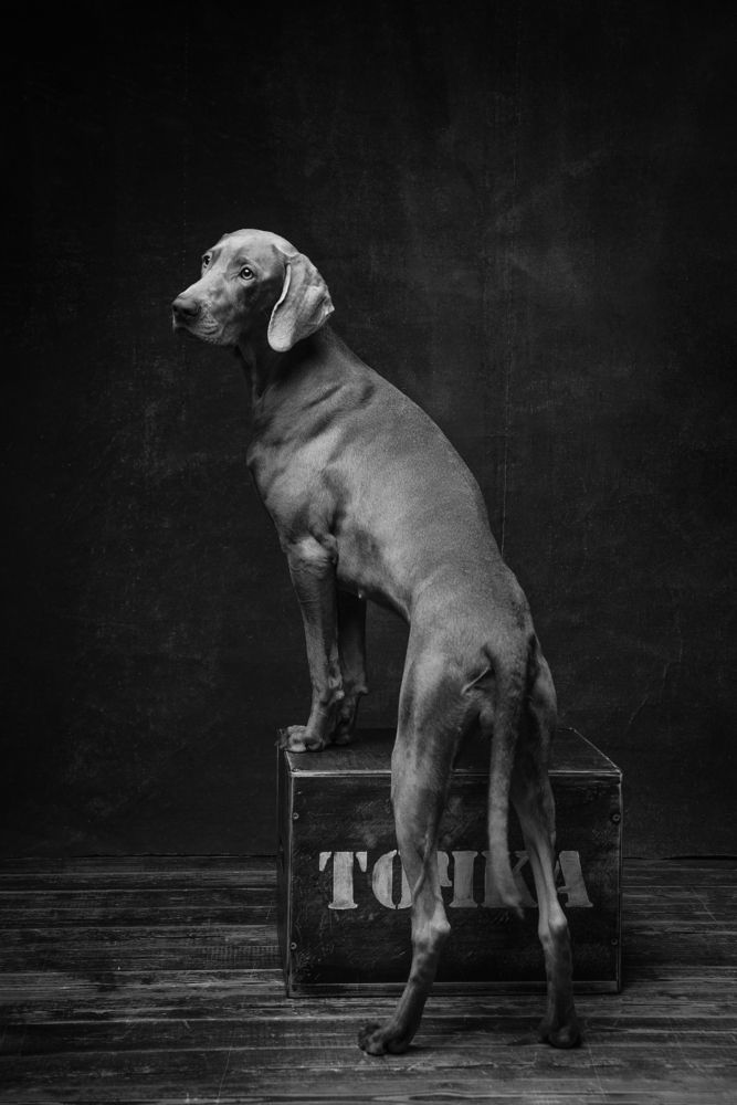 Photograph by Алина Колосова