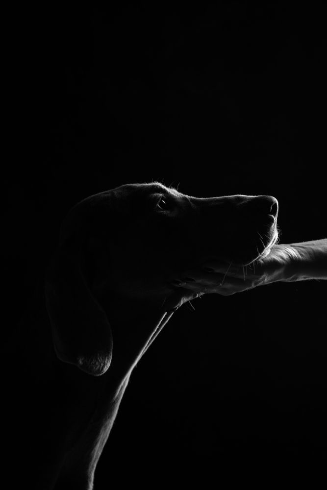 Photograph by Алина Колосова