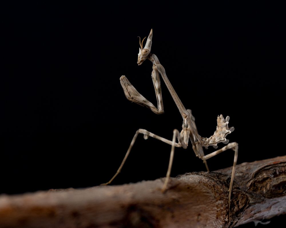 Photograph by Hamlet Maruqyan