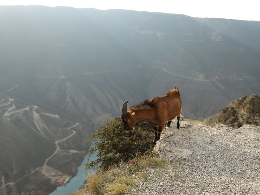 Photograph by Nataliya Tokmakova