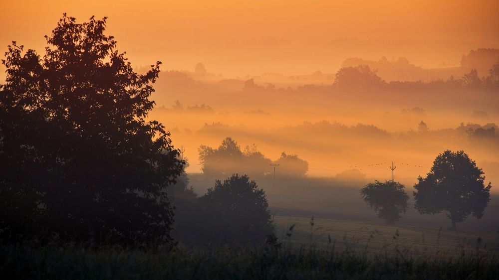 Photograph by Jan Musil