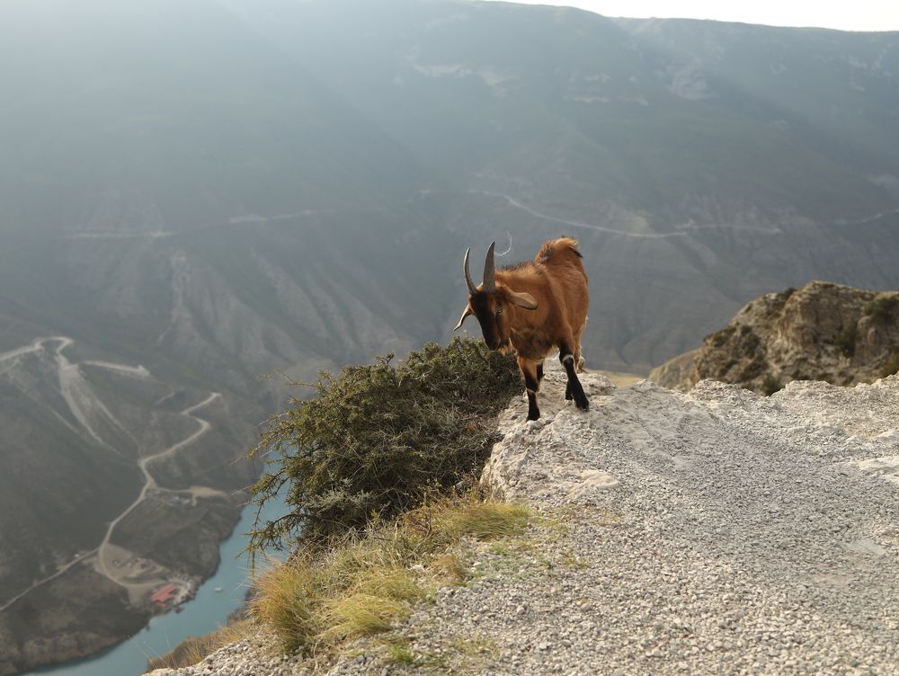 Photograph by Nataliya Tokmakova
