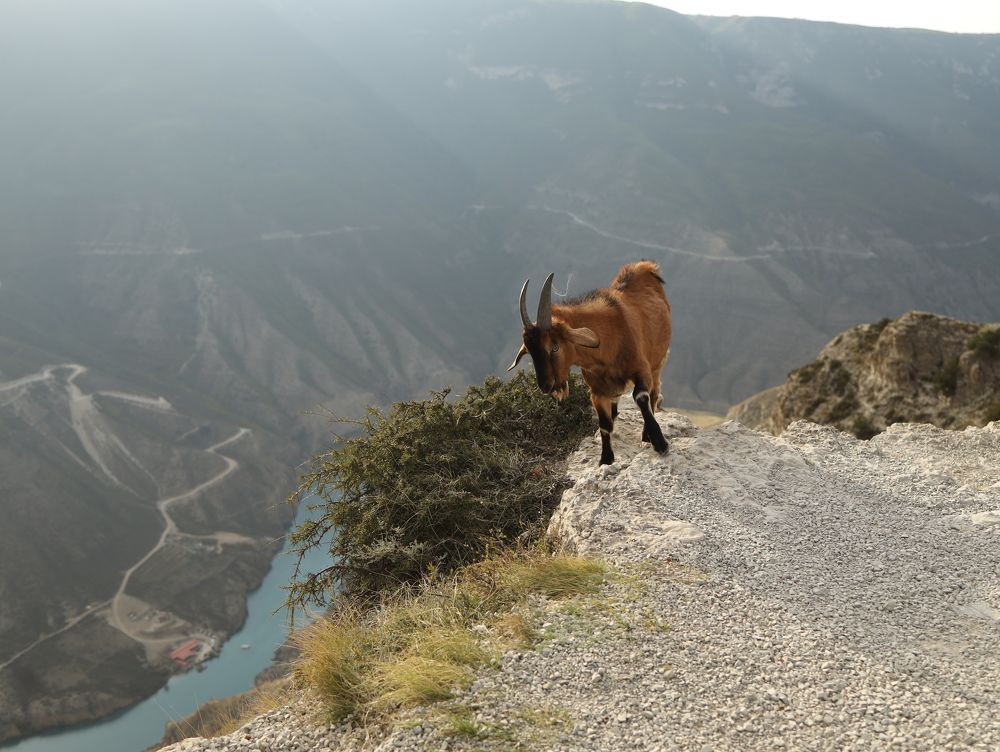 Photograph by Nataliya Tokmakova