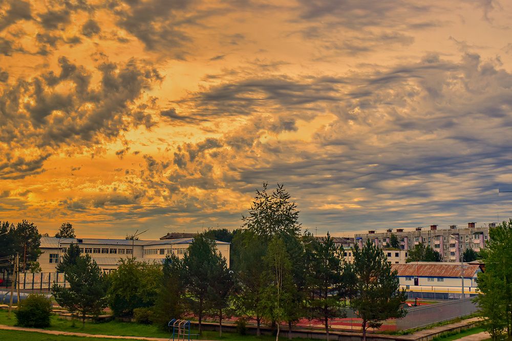 Желтое утро