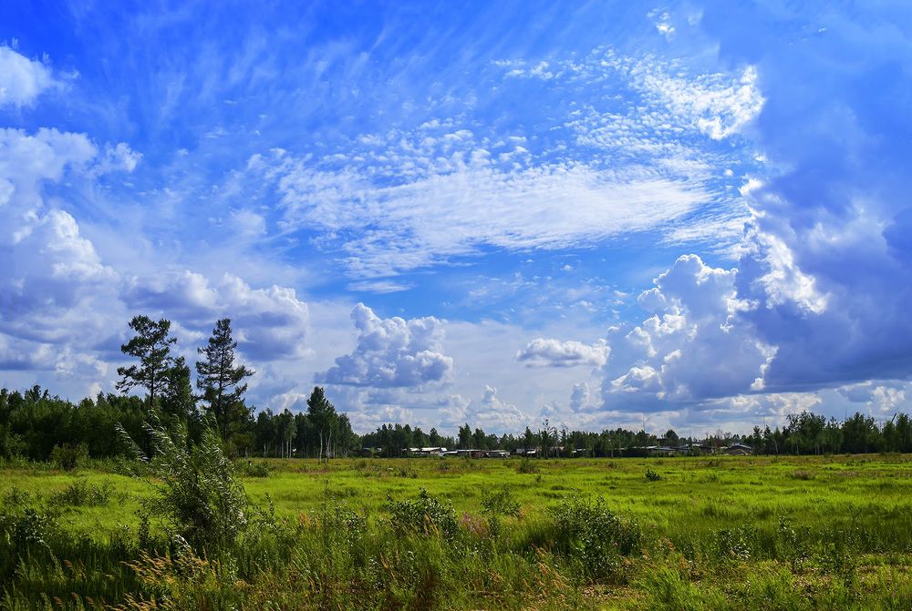 Удивительный летний день