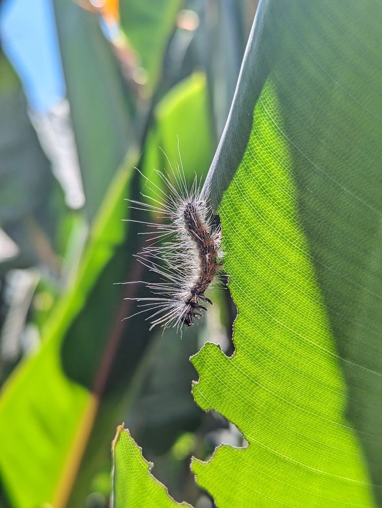 Photograph by NISHEETH Pimpaldara
