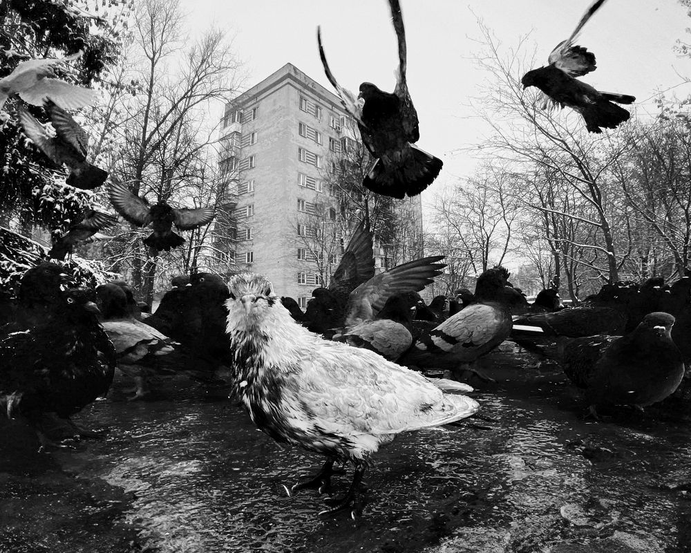 Фотография автора Мартыненко Дмитрий