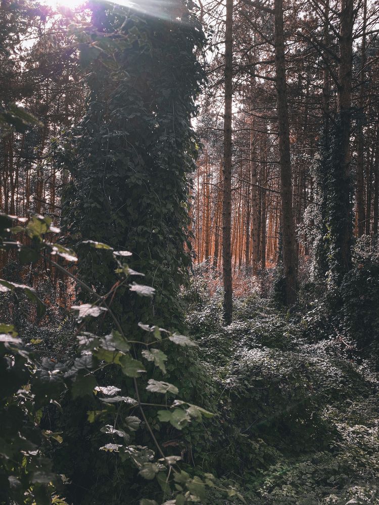 Photograph by Наталия Столяр