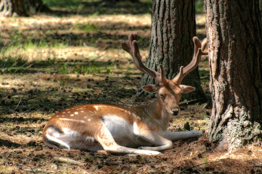 Photograph by Андрей К. Белов