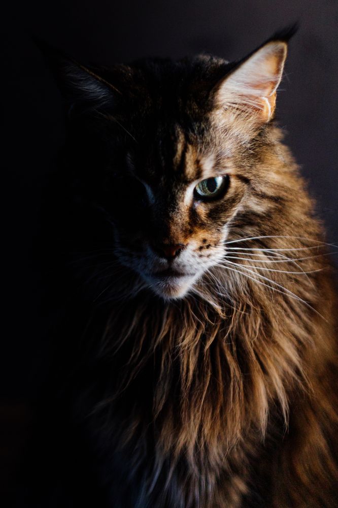 Photograph by Анастасия Саввина