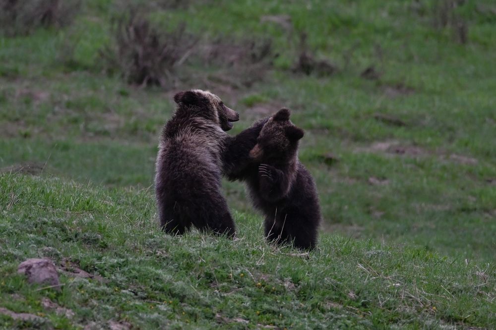 Photograph by Tony Douzenis