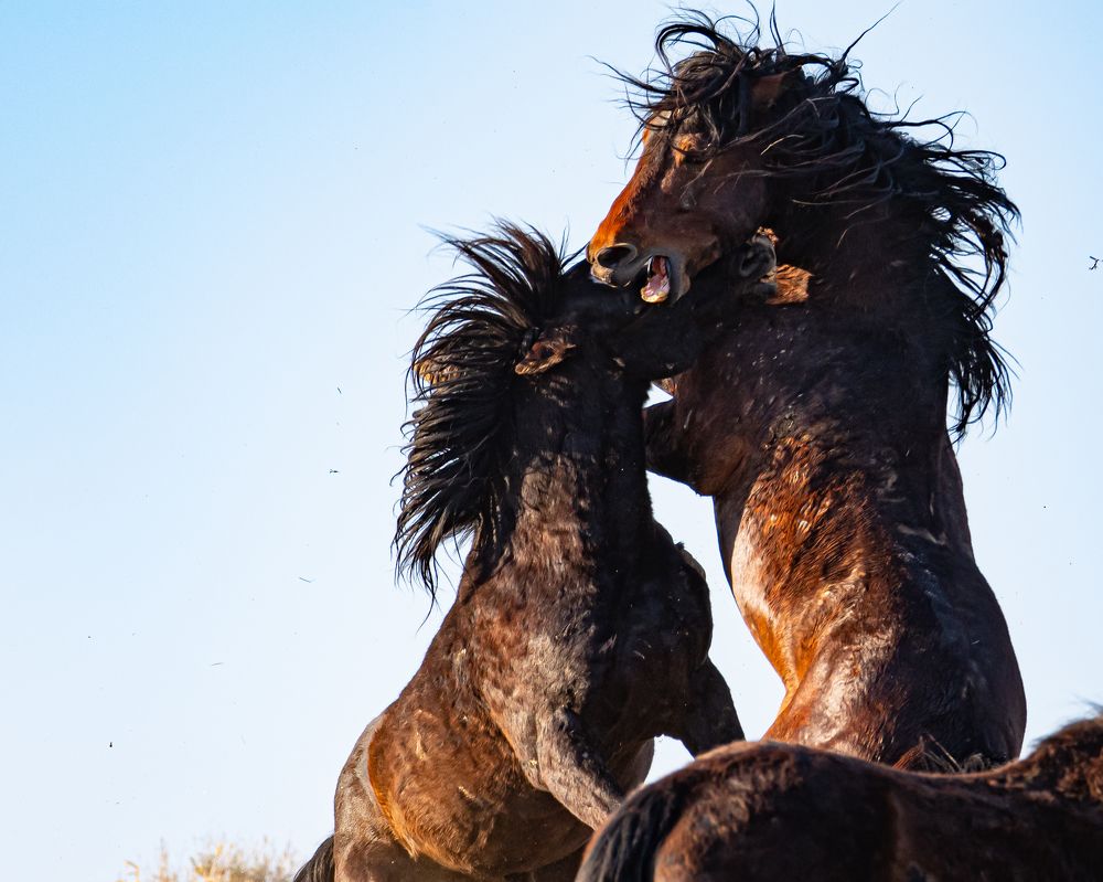 Photograph by Tony Douzenis