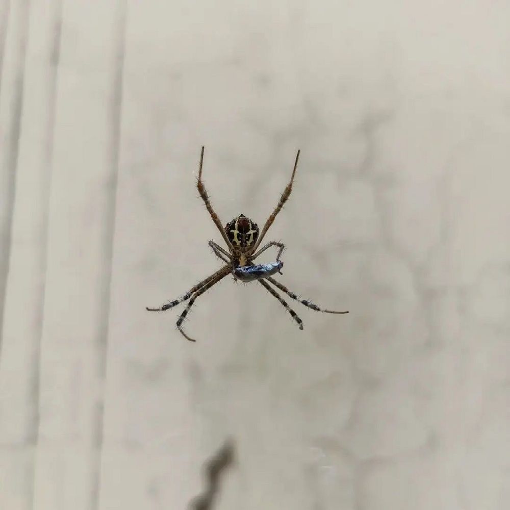 Photograph by Bhargav Pinapatruni