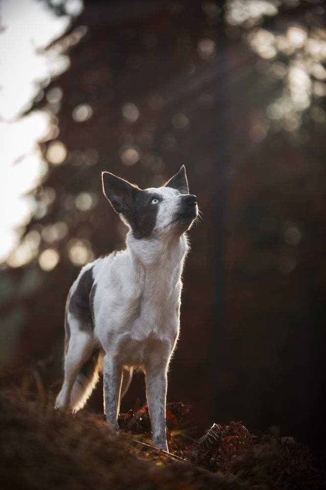 Photograph by Владислава