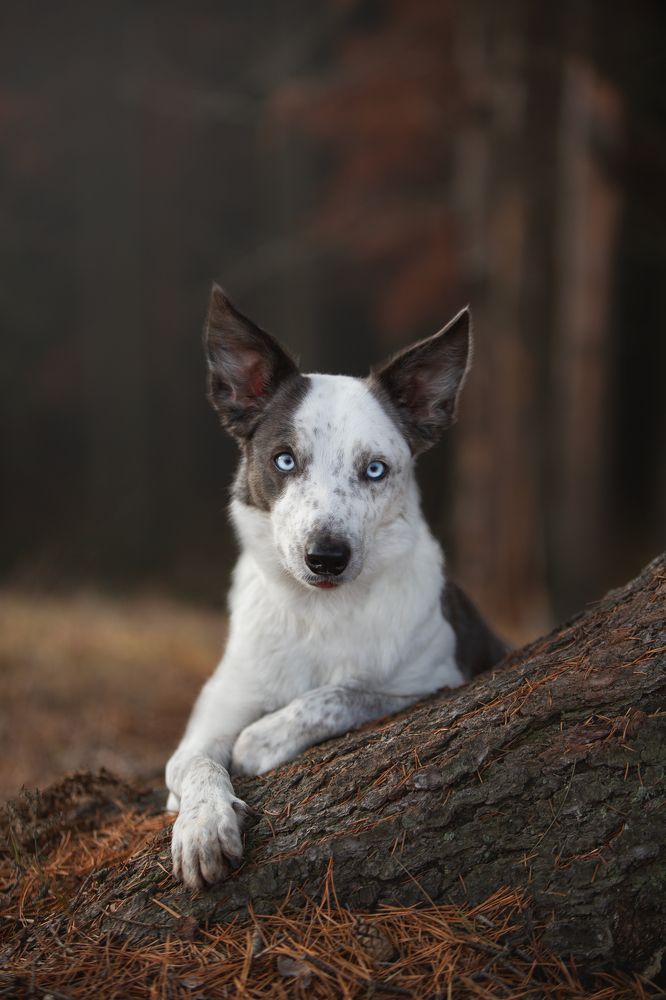 Photograph by Владислава