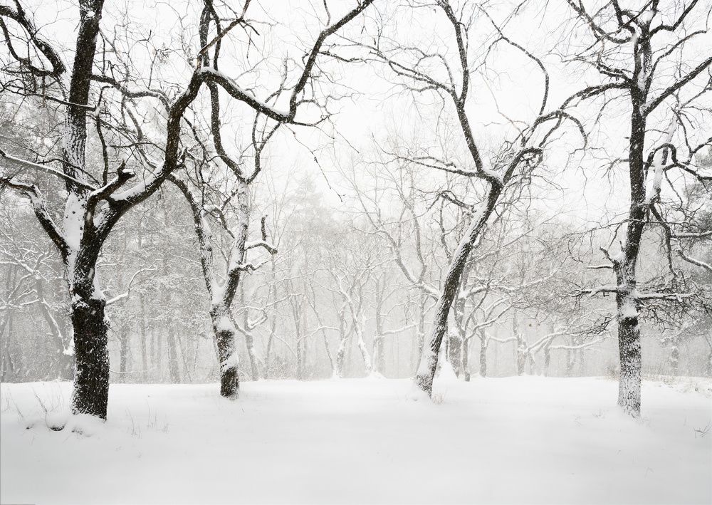 Фотография автора Валерий Лушин