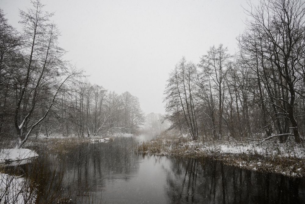 Фотография автора Валерий Лушин