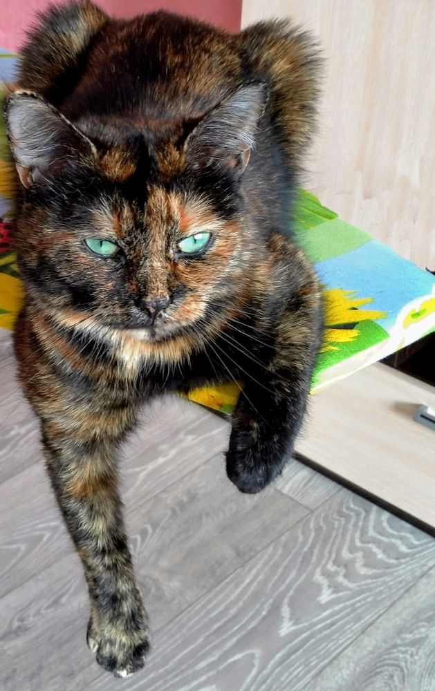 Photograph by Юрий Борисов