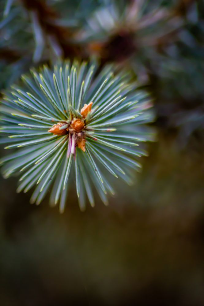 Photograph by Алексей