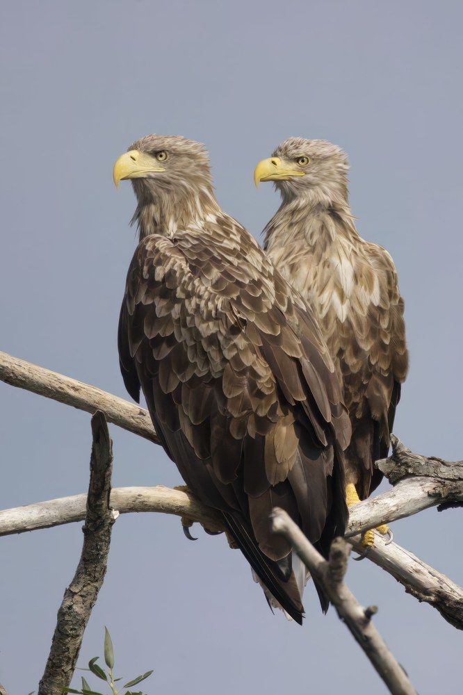 Photograph by Marek Abramowski