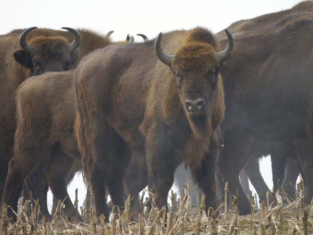 Photograph by Marek Abramowski