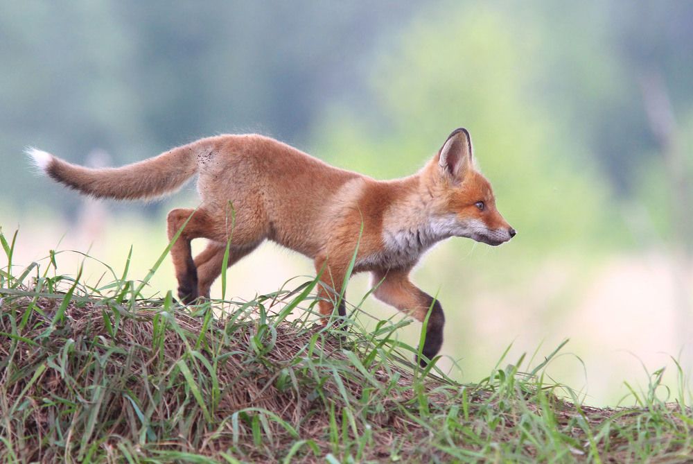 Фотография автора Михаил Крюков