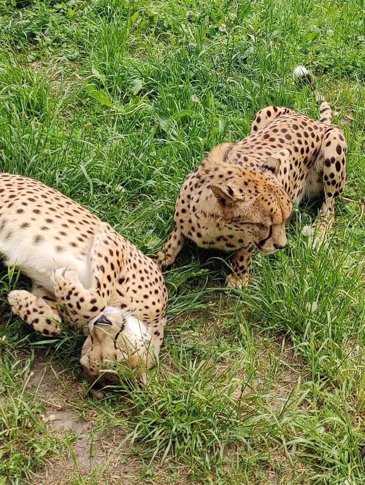 Photograph by Татьяна Гулакова