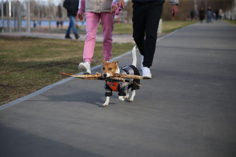 Фотография автора Ольга