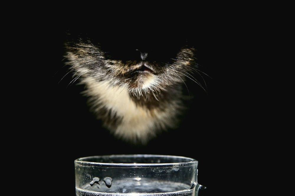 Фотография автора Ольга