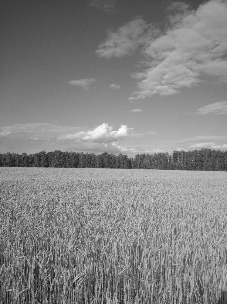 Photograph by Елена Коробченко