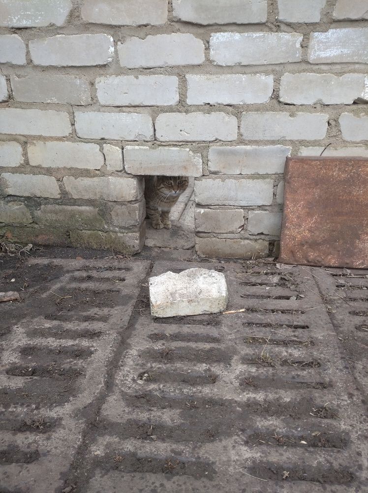 Photograph by Елена Коробченко