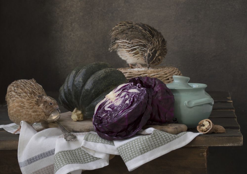 Photograph by Янина Черпухина-Андреева