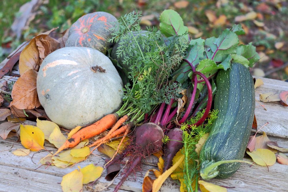 Photograph by Юрий Варюхин