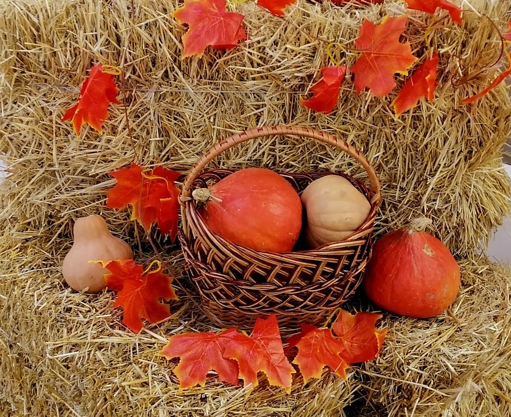 Photograph by Тамара Багровская