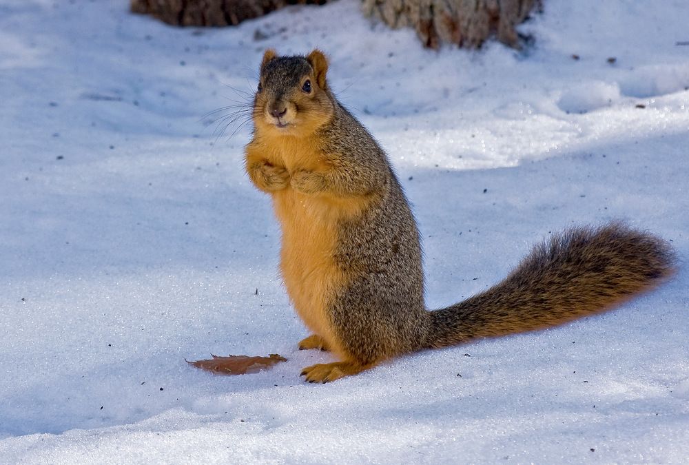 Photograph by Борис Новиков