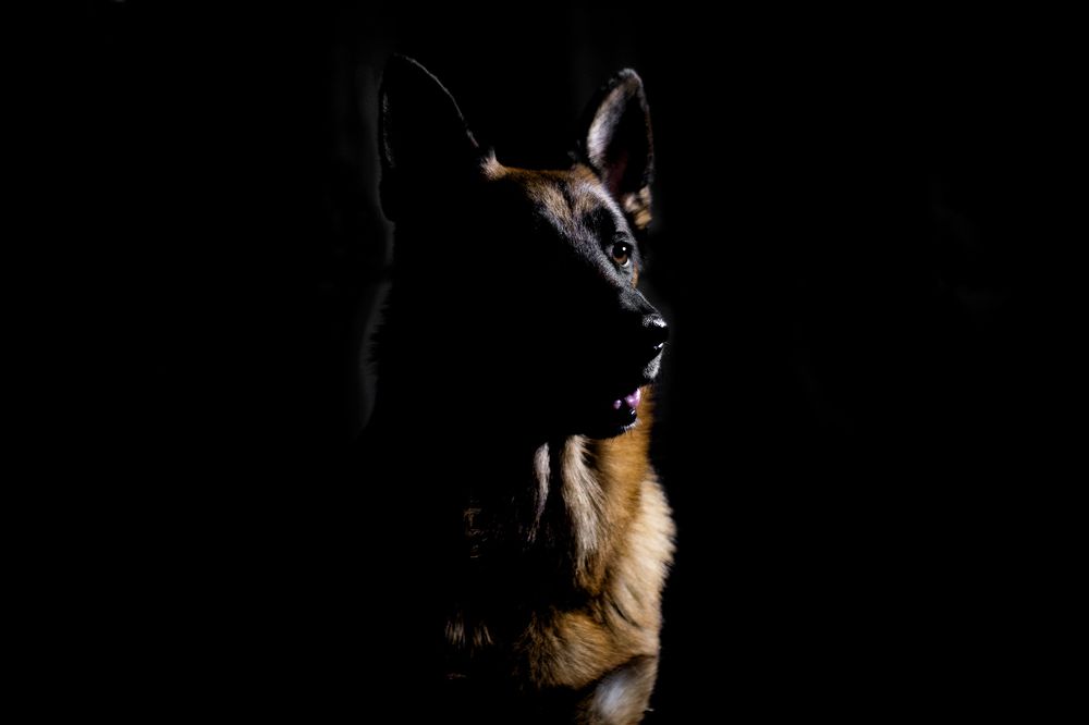 Photograph by Любовь Головина