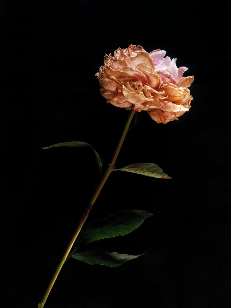 Photograph by Анна Кош