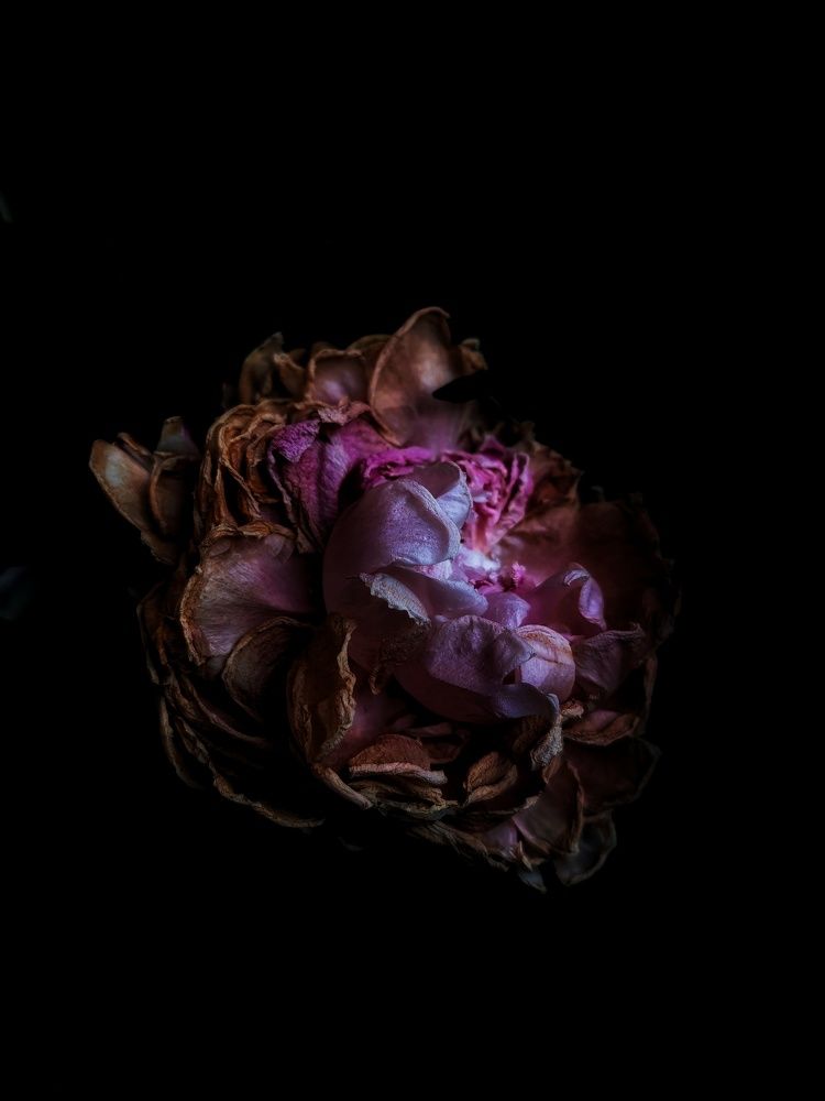 Photograph by Анна Кош